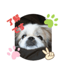 ペキmixはるLove（個別スタンプ：11）