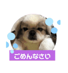 ペキmixはるLove（個別スタンプ：15）