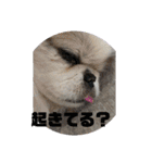 ペキmixはるLove（個別スタンプ：16）