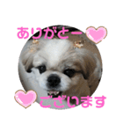 ペキmixはるLove（個別スタンプ：17）