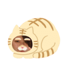 みっちゃんらびゅ♡（個別スタンプ：1）