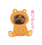 ニラとクーの日常スタンプ（個別スタンプ：4）