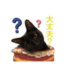 ニラとクーの日常スタンプ（個別スタンプ：9）
