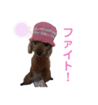 ニラとクーの日常スタンプ（個別スタンプ：10）