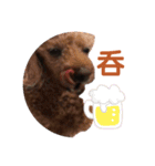 ニラとクーの日常スタンプ（個別スタンプ：13）