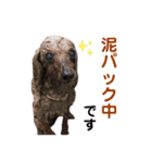 ニラとクーの日常スタンプ（個別スタンプ：18）