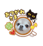 taffy スタンプ（個別スタンプ：1）