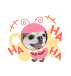 taffy スタンプ（個別スタンプ：4）