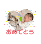 すずコロスタンプ（個別スタンプ：23）