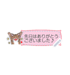 プレアデス館 ねこメッセージスタンプmini（個別スタンプ：1）