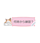 プレアデス館 ねこメッセージスタンプmini（個別スタンプ：6）