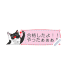 プレアデス館 ねこメッセージスタンプmini（個別スタンプ：8）