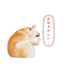 オハナのごあいさつ（個別スタンプ：2）
