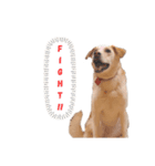 オハナのごあいさつ（個別スタンプ：8）