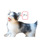 ねこさんのいる生活1（個別スタンプ：14）