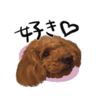 愛犬トイプのコミュニケーション2（個別スタンプ：18）