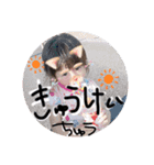 よく使う言葉さん。（個別スタンプ：8）
