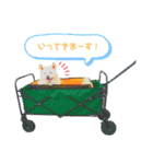 白柴はなちゃん1（個別スタンプ：7）