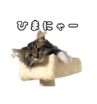うみスタンプ vol.1（個別スタンプ：6）