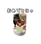 うみスタンプ vol.1（個別スタンプ：16）