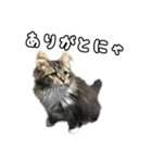 うみスタンプ vol.1（個別スタンプ：21）