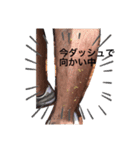 ホンマやるんか？（個別スタンプ：1）