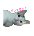 伊藤家のネネオさん（個別スタンプ：11）