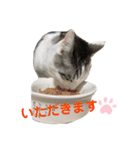 伊藤家のネネオさん（個別スタンプ：13）