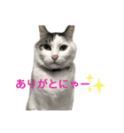 伊藤家のネネオさん（個別スタンプ：14）