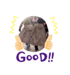 さるうしぶたごりら（個別スタンプ：6）