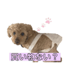 寅スタンプpart1（個別スタンプ：11）
