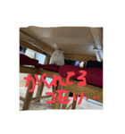 ぴょんちゃん001（個別スタンプ：8）