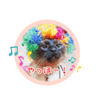 るーだますたんぷ（個別スタンプ：2）