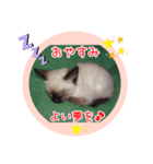 るーだますたんぷ（個別スタンプ：3）