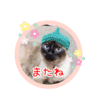 るーだますたんぷ（個別スタンプ：4）