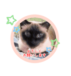 るーだますたんぷ（個別スタンプ：9）