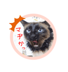 るーだますたんぷ（個別スタンプ：17）