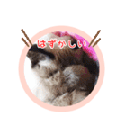 るーだますたんぷ（個別スタンプ：22）