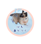 るーだますたんぷ（個別スタンプ：28）