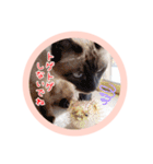 るーだますたんぷ（個別スタンプ：36）