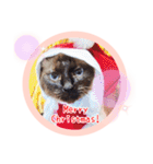 るーだますたんぷ（個別スタンプ：39）