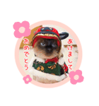 るーだますたんぷ（個別スタンプ：40）