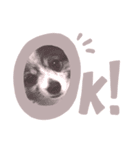 文字文字！（個別スタンプ：4）