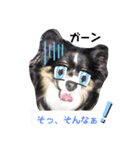 チワワのサンタ☆2（個別スタンプ：15）