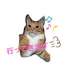 マロン＆ノエル2号（個別スタンプ：1）