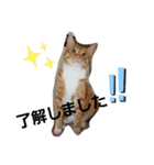 マロン＆ノエル2号（個別スタンプ：2）