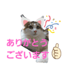 マロン＆ノエル2号（個別スタンプ：13）