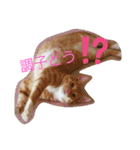 マロン＆ノエル2号（個別スタンプ：17）