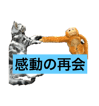 子猫のルーくん（個別スタンプ：7）