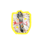 子猫のルーくん（個別スタンプ：8）
